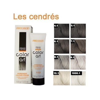 CH Prosalon farba 100g 6/3 COLORART    !